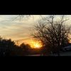 teresalowe02